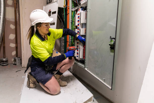 Best Generator Installation Services  in Lake Barrington, IL