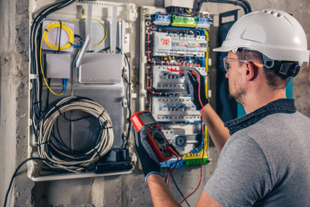 Best Electric Panel Repair  in Lake Barrington, IL