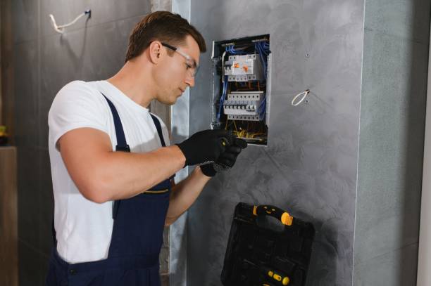 Best Electrical Rewiring Services  in Lake Barrington, IL