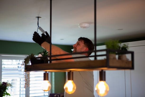 Best Home Electrical Repair  in Lake Barrington, IL